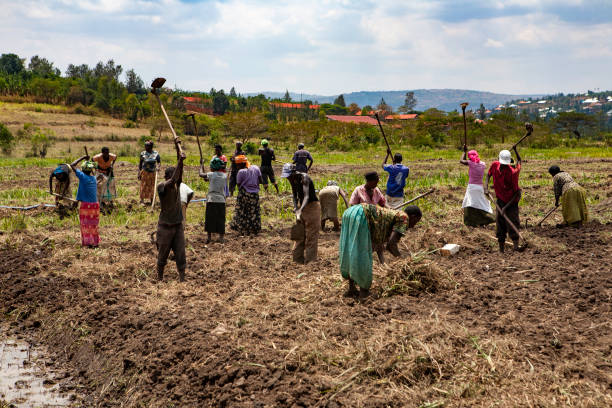 Community members in a meeting circle